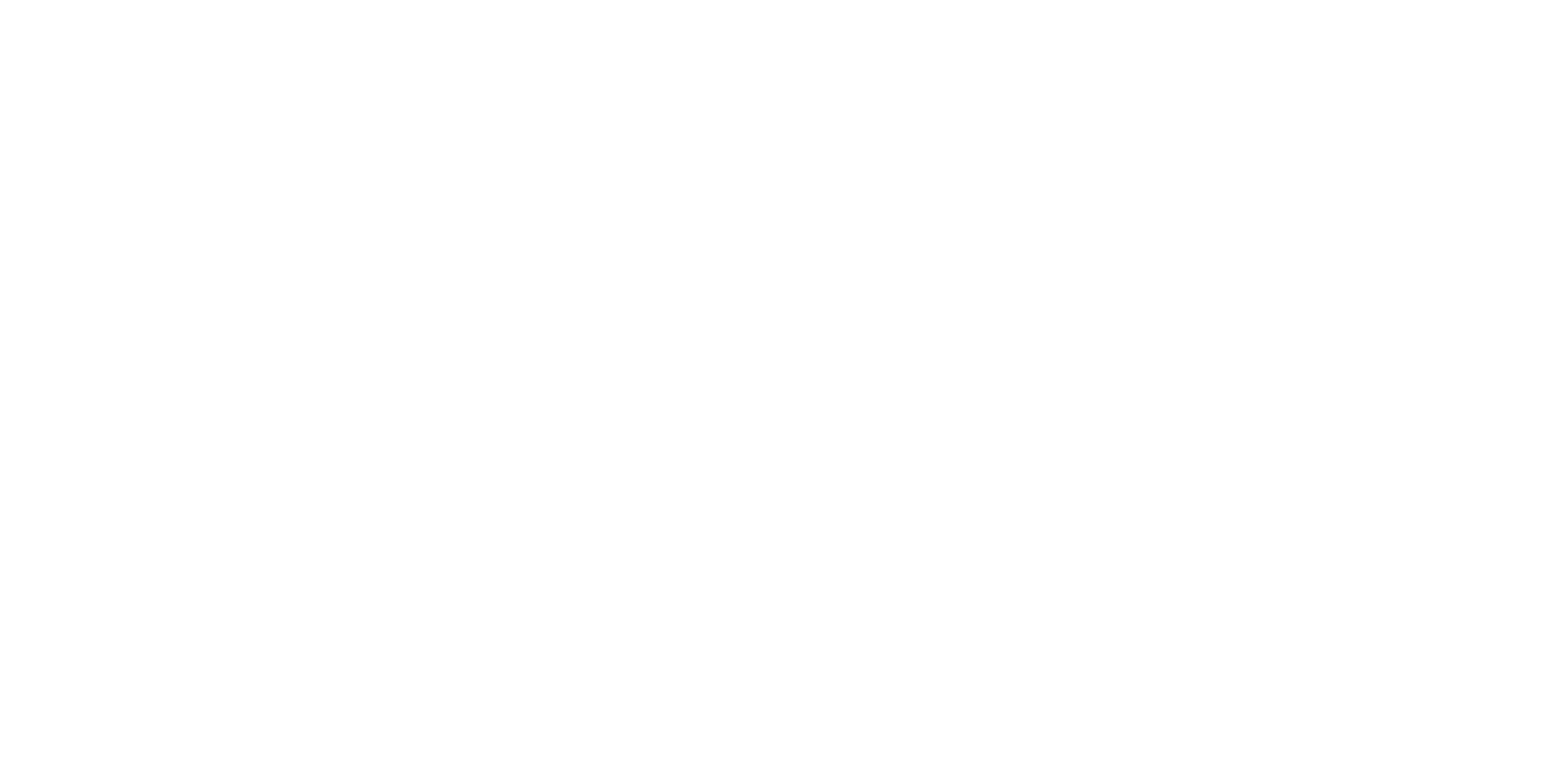 Revolution 2020 Year in Review